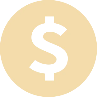 Dollar icon